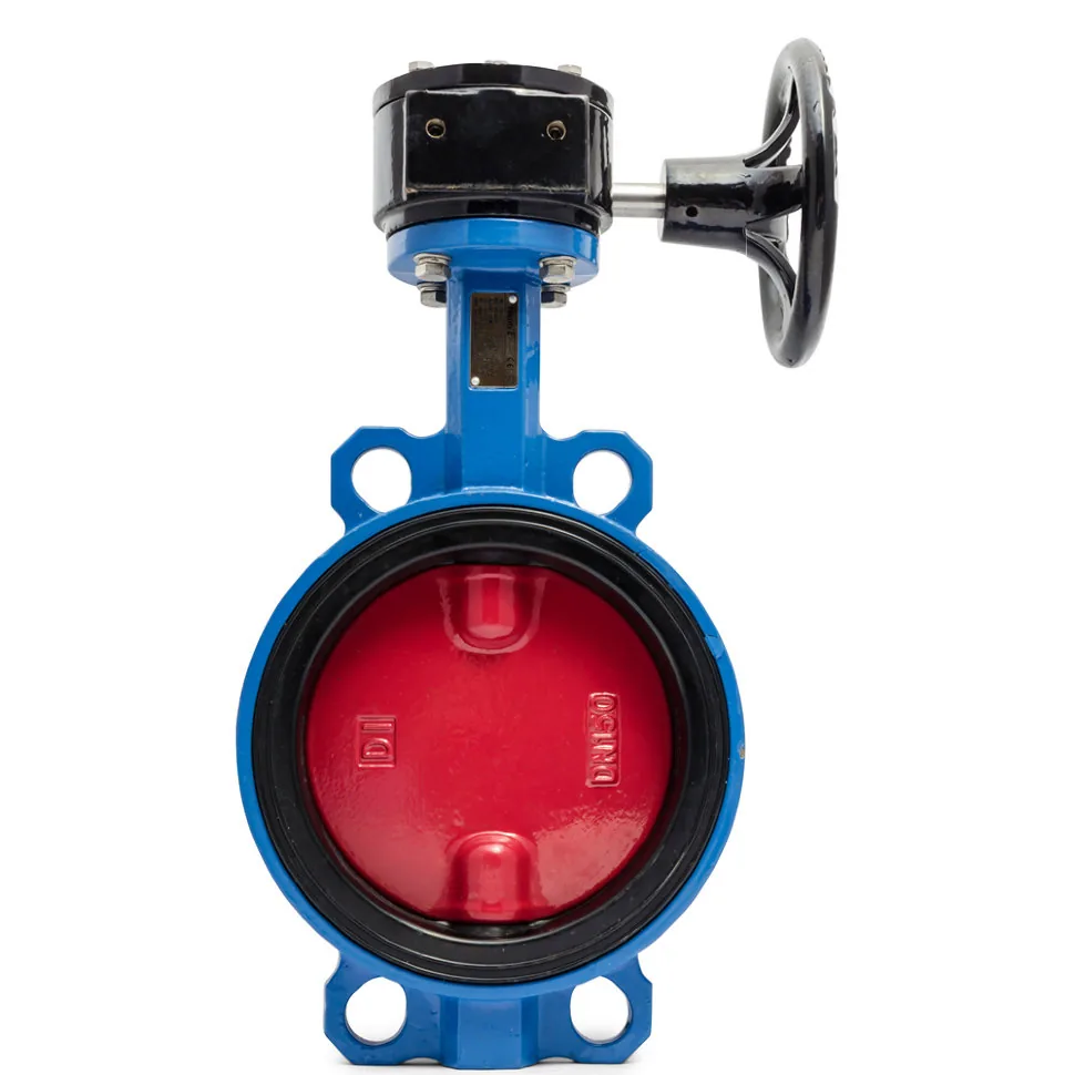 Затвор Tecofi Ду100 Ру16 эл/п230В д/чуг EPDM VPI4448-N24EP0050